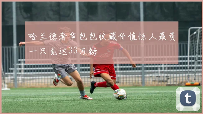 哈兰德奢华包包收藏价值惊人最贵一只竟达33万镑